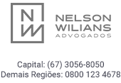 Nelson Willians